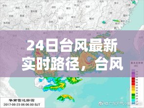第1133页