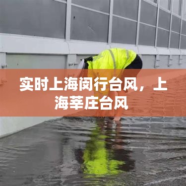 第1129页