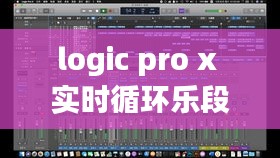 第1123页