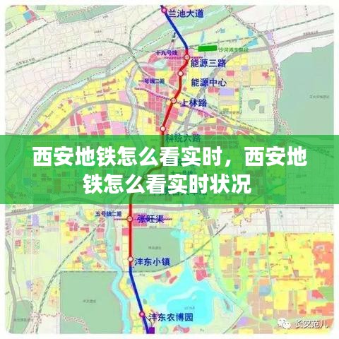 勤勤恳恳 第3页