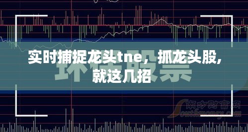 实时捕捉龙头tne，抓龙头股,就这几招 