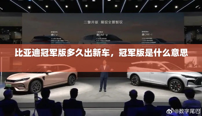 堂堂正正 第2页