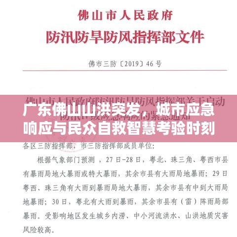 广东佛山山洪突发，城市应急响应与民众自救智慧考验时刻