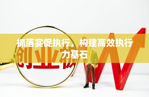 抓落实促执行，构建高效执行力基石