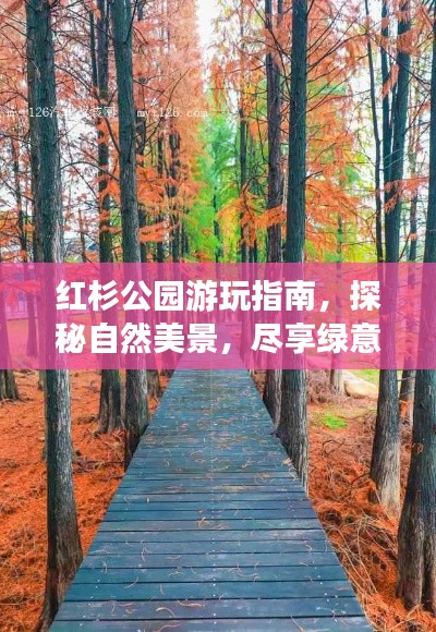 候鸟南飞 第2页