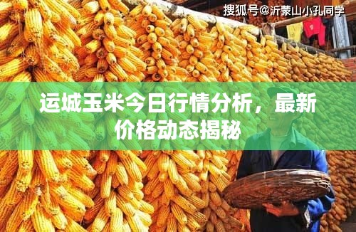 破马张飞 第2页
