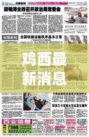 鸡西最新消息综述，今日时事新闻一览