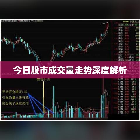 今日股市成交量走势深度解析