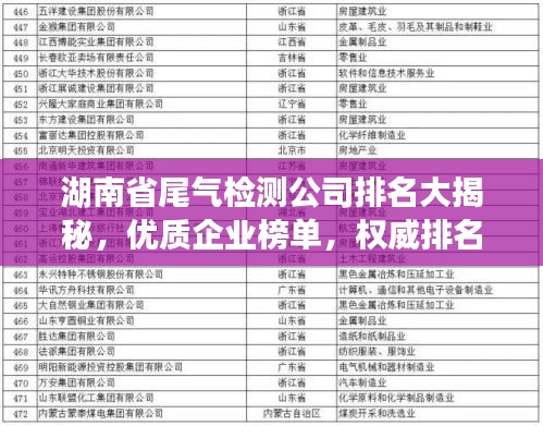 湖南省尾气检测公司排名大揭秘，优质企业榜单，权威排名一网打尽！