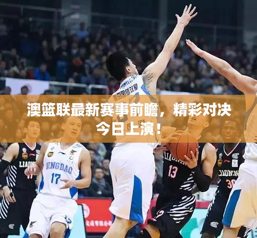 澳篮联最新赛事前瞻，精彩对决今日上演！