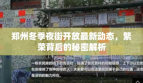 郑州冬季夜街开放最新动态，繁荣背后的秘密解析