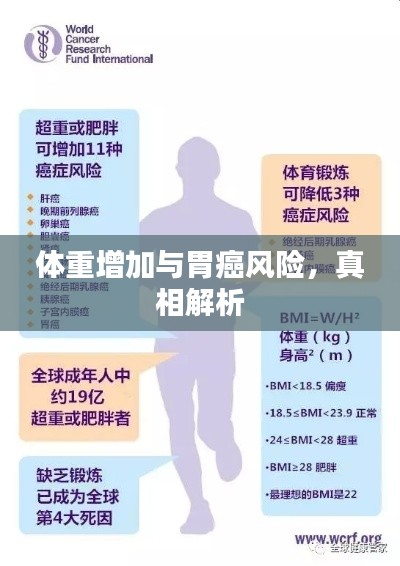 十全十美
