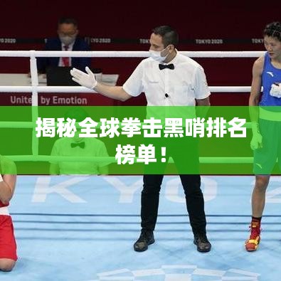 揭秘全球拳击黑哨排名榜单！