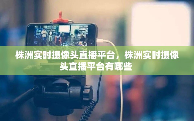 第1177页