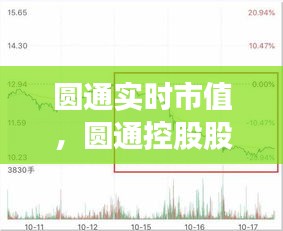 第1166页