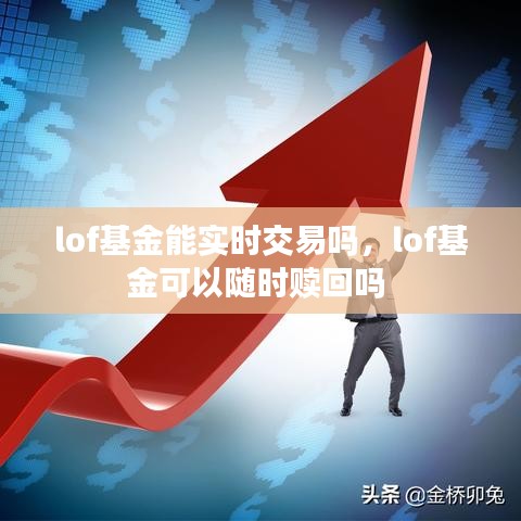 第1156页