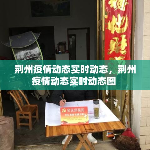 荆州疫情动态实时动态，荆州疫情动态实时动态图 