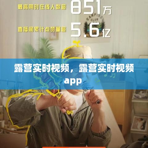 第1054页