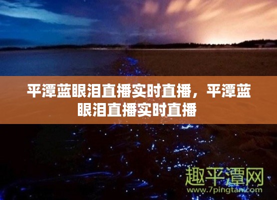 第1045页