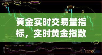黄金实时交易量指标，实时黄金指数是多少 
