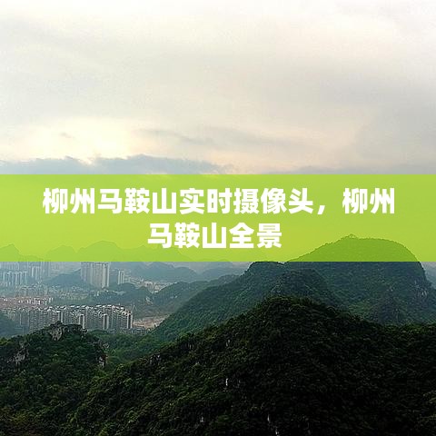 第1012页