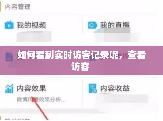 如何看到实时访客记录呢，查看访客 
