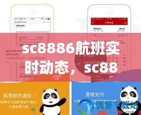 sc8886航班实时动态，sc8882航班 
