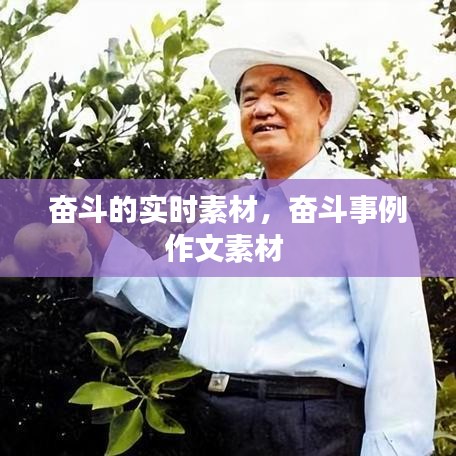 屈指可数 第2页
