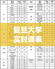 复旦大学实时课表查询，复旦大学公开课时间表 