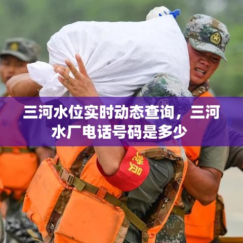刺股读书 第3页