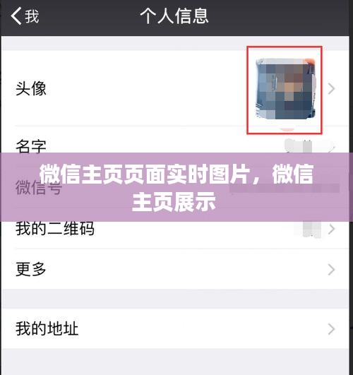 标新创异 第2页