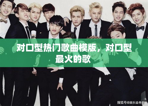 对口型热门歌曲模版，对口型最火的歌 