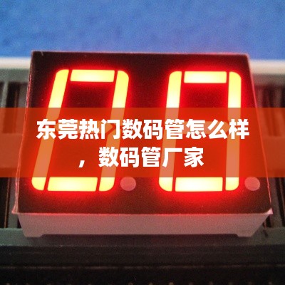 异口同声