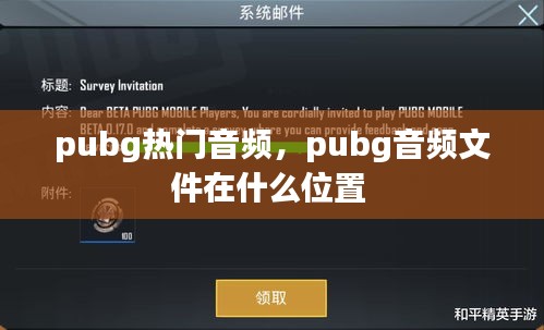 pubg热门音频，pubg音频文件在什么位置 