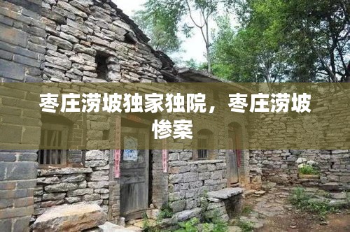 枣庄涝坡独家独院，枣庄涝坡惨案 