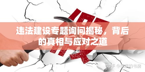 违法建设专题询问揭秘，背后的真相与应对之道