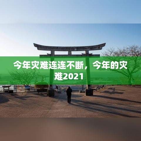 今年灾难连连不断，今年的灾难2021 