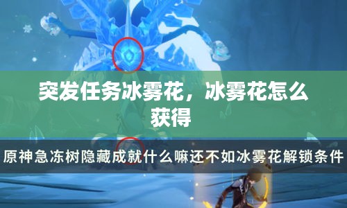 突发任务冰雾花，冰雾花怎么获得 