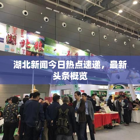湖北新闻今日热点速递，最新头条概览