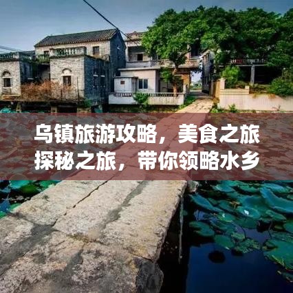 乌镇旅游攻略，美食之旅探秘之旅，带你领略水乡美食风情！