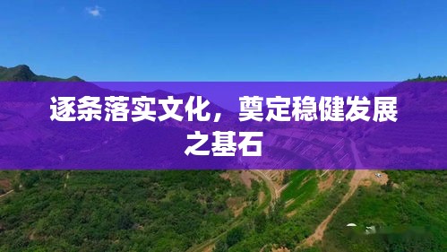 逐条落实文化，奠定稳健发展之基石