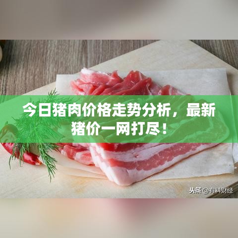 就正有道 第2页