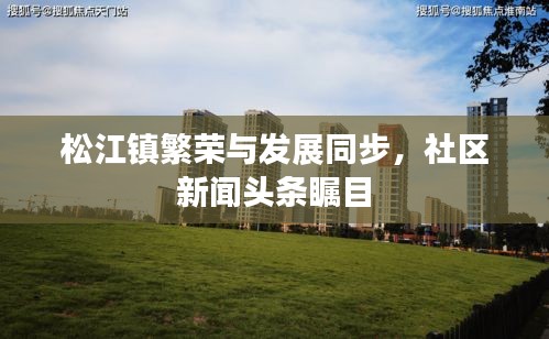 松江镇繁荣与发展同步，社区新闻头条瞩目