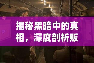 揭秘黑暗中的真相，深度剖析贩毒专题片