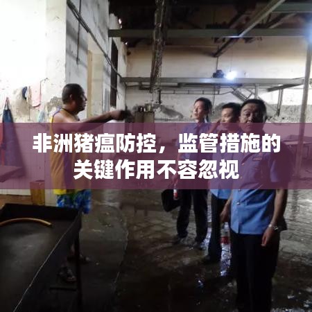 非洲猪瘟防控，监管措施的关键作用不容忽视
