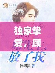 独家挚爱，顾轻舟的深情之旅