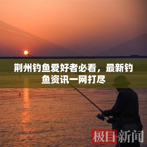 荆州钓鱼爱好者必看，最新钓鱼资讯一网打尽
