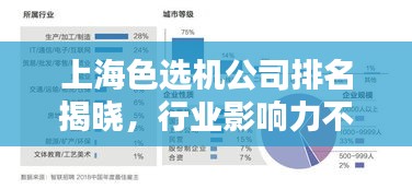上海色选机公司排名揭晓，行业影响力不容小觑