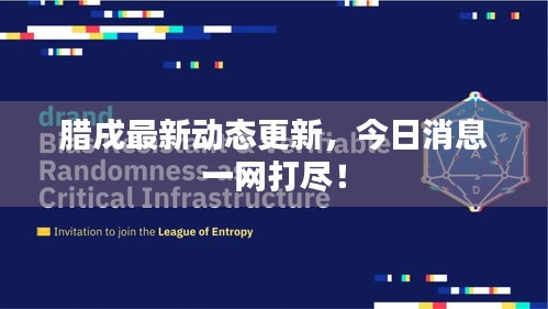 腊戌最新动态更新，今日消息一网打尽！