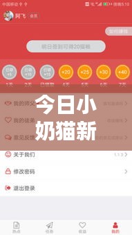 今日小奶猫新闻热点速递，最新消息抢先看